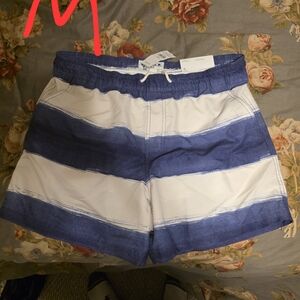 American Eagle Outfitters Navy Swim Shorts